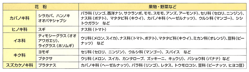 花粉症 アレルギー科 伊藤メディカルクリニック 落合 東中野 中井 内科 外科